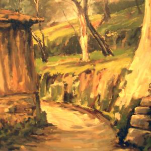 Altra Natura a Revere (mn)