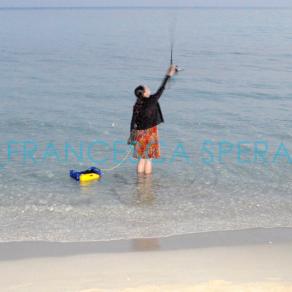 domestic landscapes_07