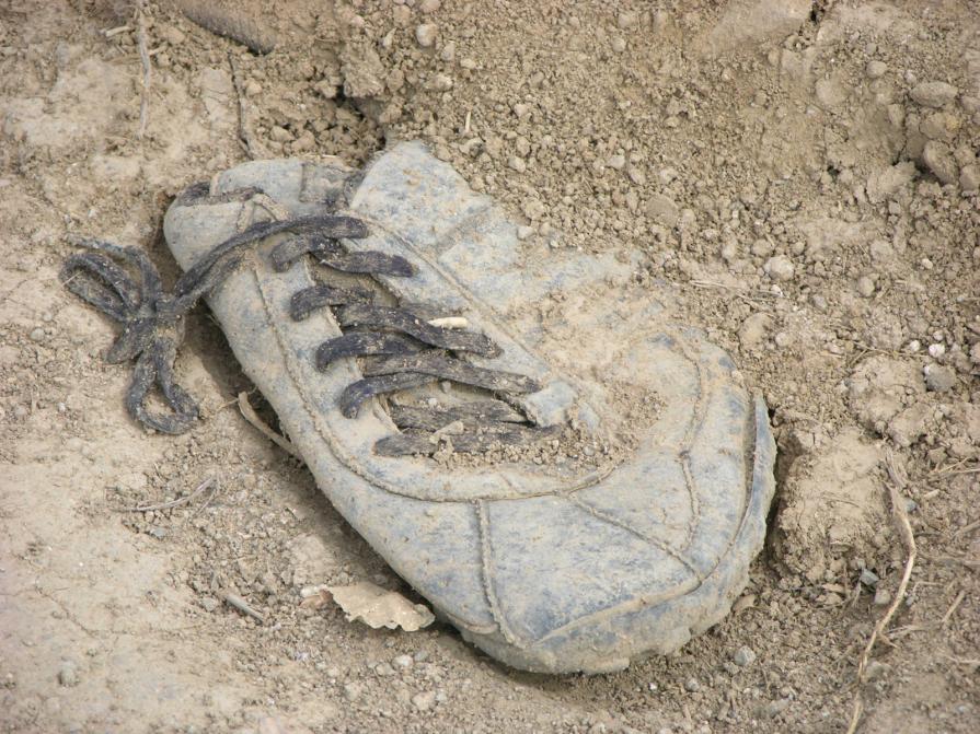 "fossile contemporaneo"