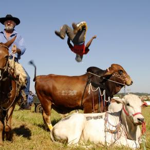 Brasil, rodeio II