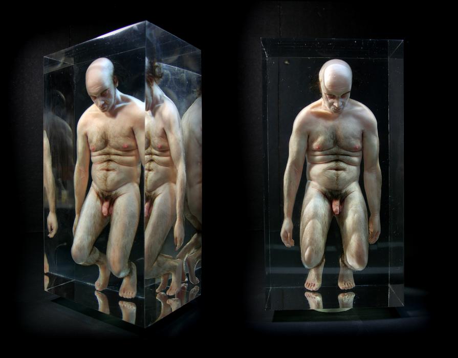 Natural History  AMBRA N°1