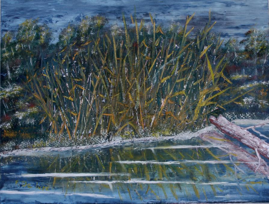 notturno al chiar di luna