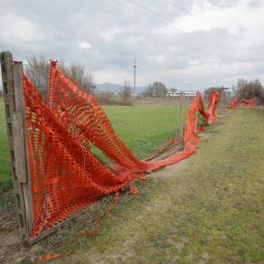 RED FENCE 2011-2012