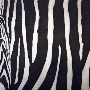 I codici della natura