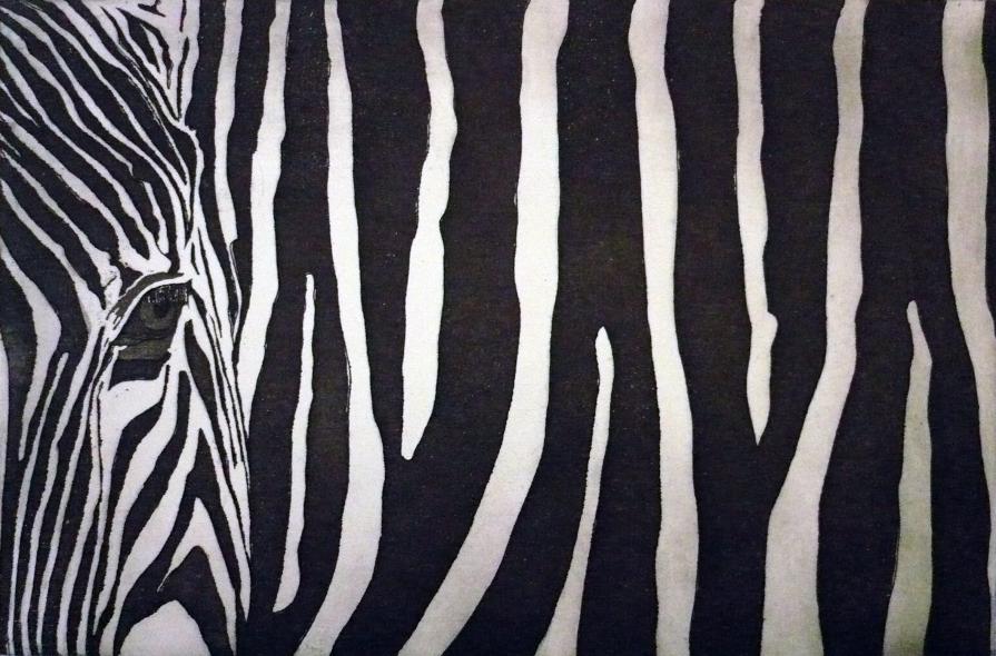 I codici della natura