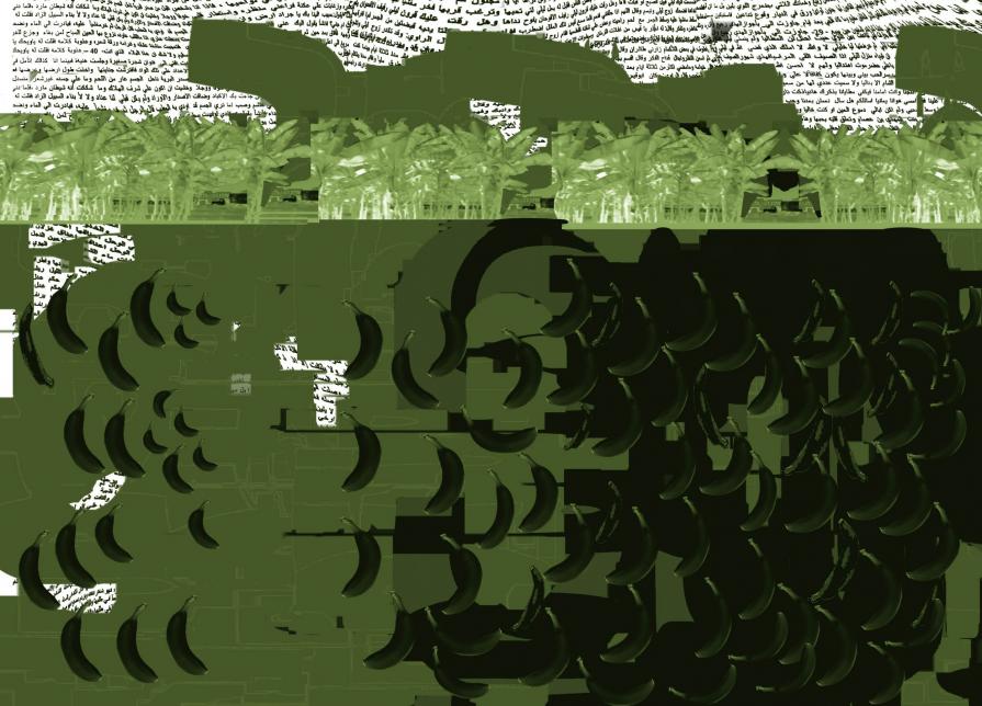 Arms Bananas Arms Bananas