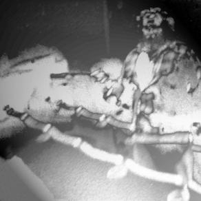 A lezione da Julian Schnabel.