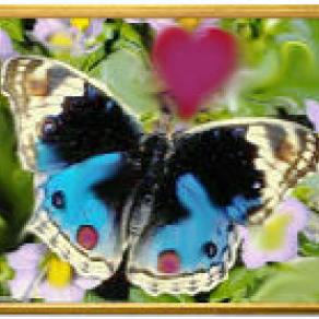 in volo verso Tanya (dedicata a Tanya)