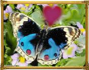 in volo verso Tanya (dedicata a Tanya)