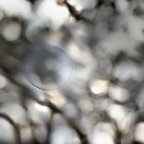 per un mutamento il movimento perpetuo scorre.