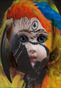 Emanuela Simoncini - pelle d'aria1