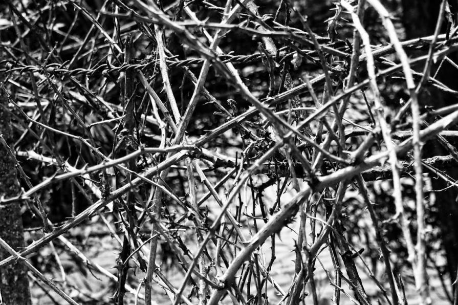 To  my brother and my sister ... no obstacle can stop you 