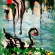 Cigno nero Cigno nero