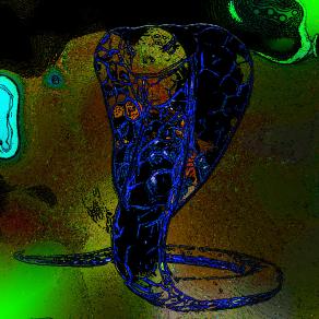 . . . IL BUIO COLMA IL GIORNO !!! . . . 