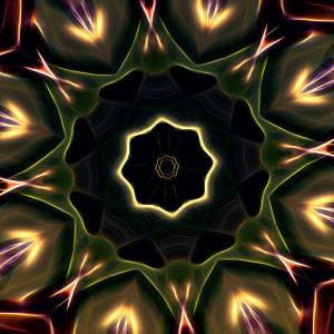 kwiaty mojego ogrodu III