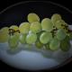 Grappolo d' uva