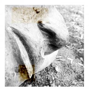 from the series "Edifying Thoughts of a Tobacco Smoker" from the series "Edifying Thoughts of a Tobacco Smoker"