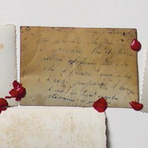 Memorie Nascoste (particolare)