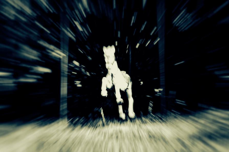 Il cavallino del sogno di ieri  - The pony of yesterday's dream - 