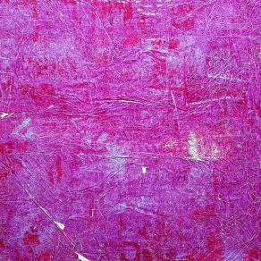 Fiumi di porpora (n.281)