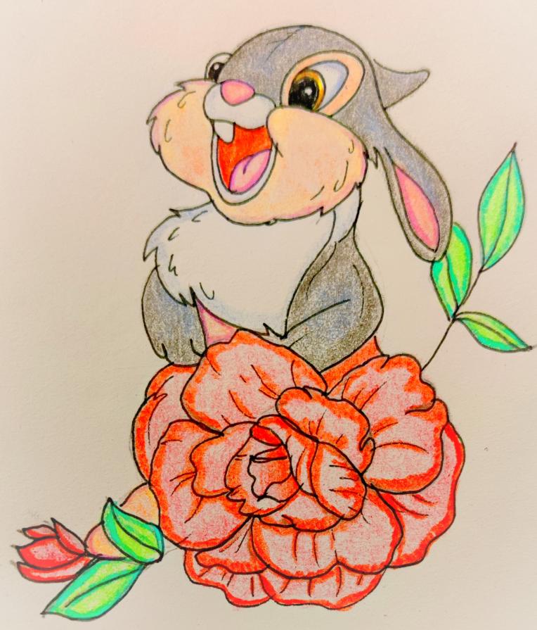 Quando non puoi dire una cosa GENTILE...