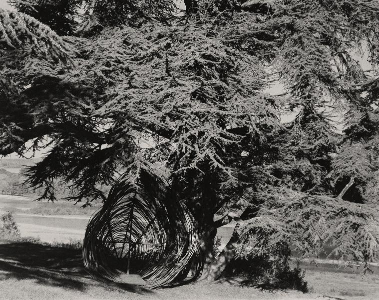 Luigi Menozzi. Intrepidi intrecci