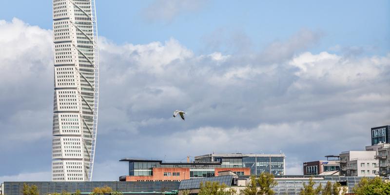 “Green Cities” di Loredana Celano