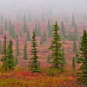 USA. Alaska 2/3. Confini e oltre