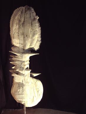 pianta, Gewächs, plant