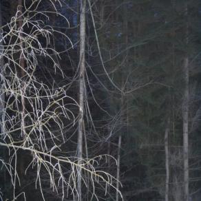 confidential whisper