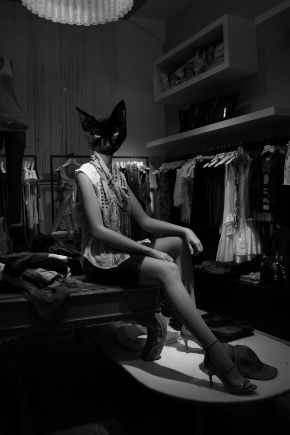 Black Cat collection