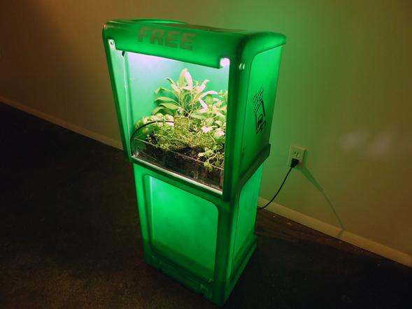 The Garden of Heaven