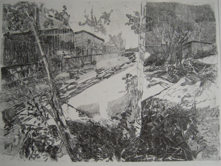 "L'albero bianco e capannoni"