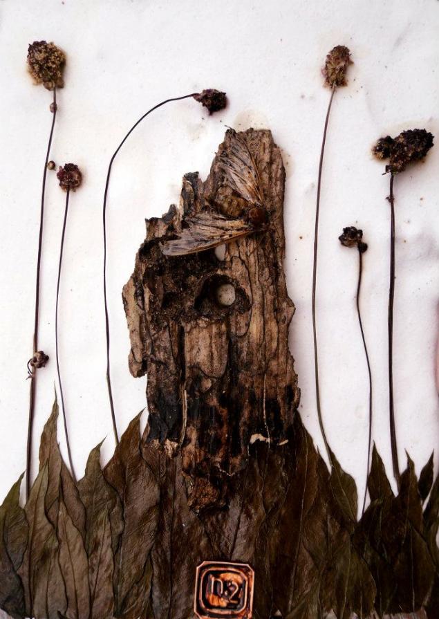 capriccio 2 capriccio 2