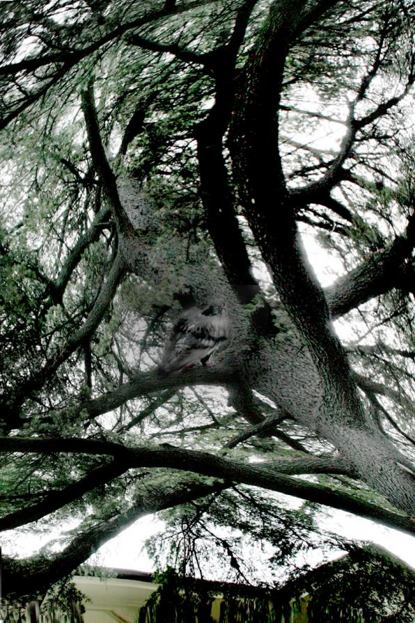 la natura si impossessa della mente.e mente il reale.