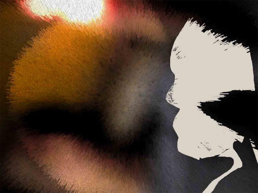 Tonalità bianca, White shade