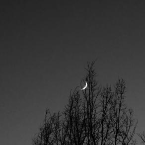 La mia grande amica, Luna 