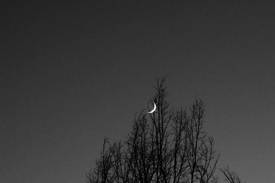 La mia grande amica, Luna 