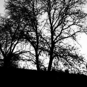 Il rimorso di non aver visto a colori 