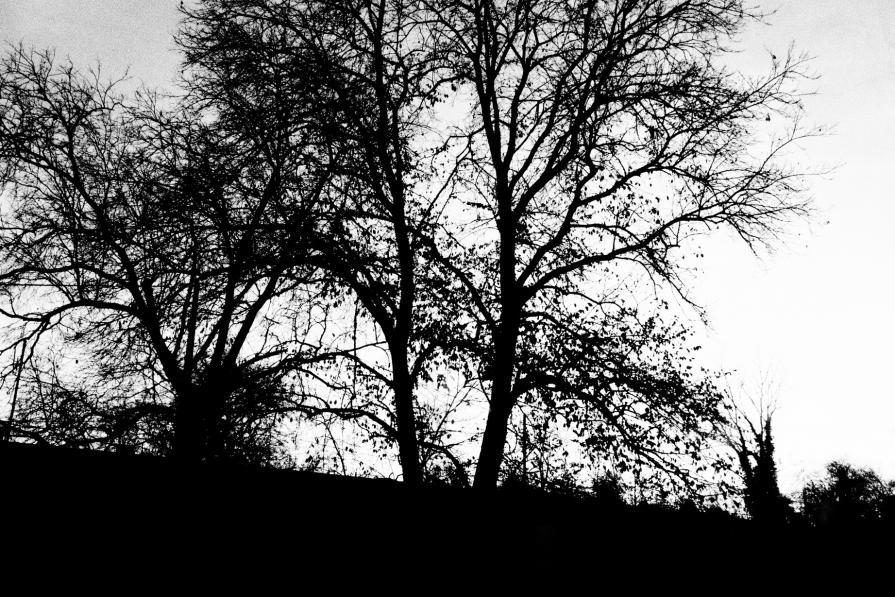 Il rimorso di non aver visto a colori 