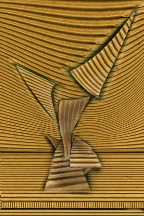 stamattina do da bere alla mia pianta triangolanalittica