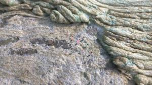 Christoph Schläpfer - Escape  /  Dihydrogenmonoxid 