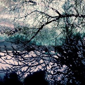 Risveglio sognante   ( Awakening  dreamlike ) 