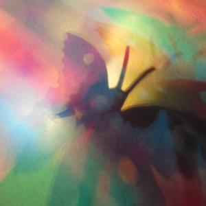 I colori della biodiversità -2017