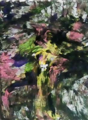 Bentornato Claudio alla guida del branco di...