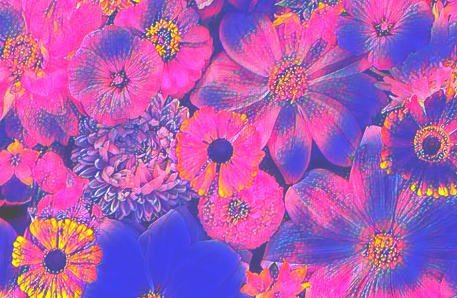 ...La Felicità...╰(*´︶`*)╯(◠ᴥ◕ʋ)