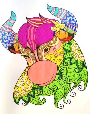 Per capire il mondo... bisogna avere lo sguardo fermo e la forza di un toro...!!!