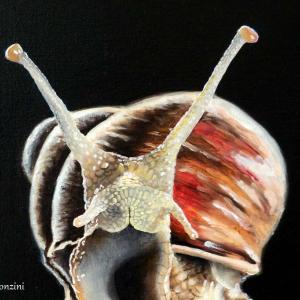 ARS MUTINENSIS 12 modenesi in mostra 