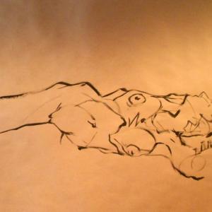 Donne e Motori. Storie di gioie tra grandi dolori