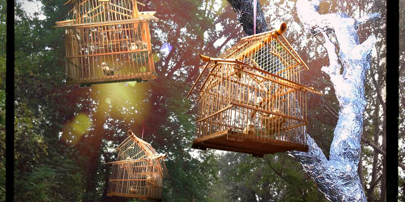 Photissima PRIZE Photissima PRIZE